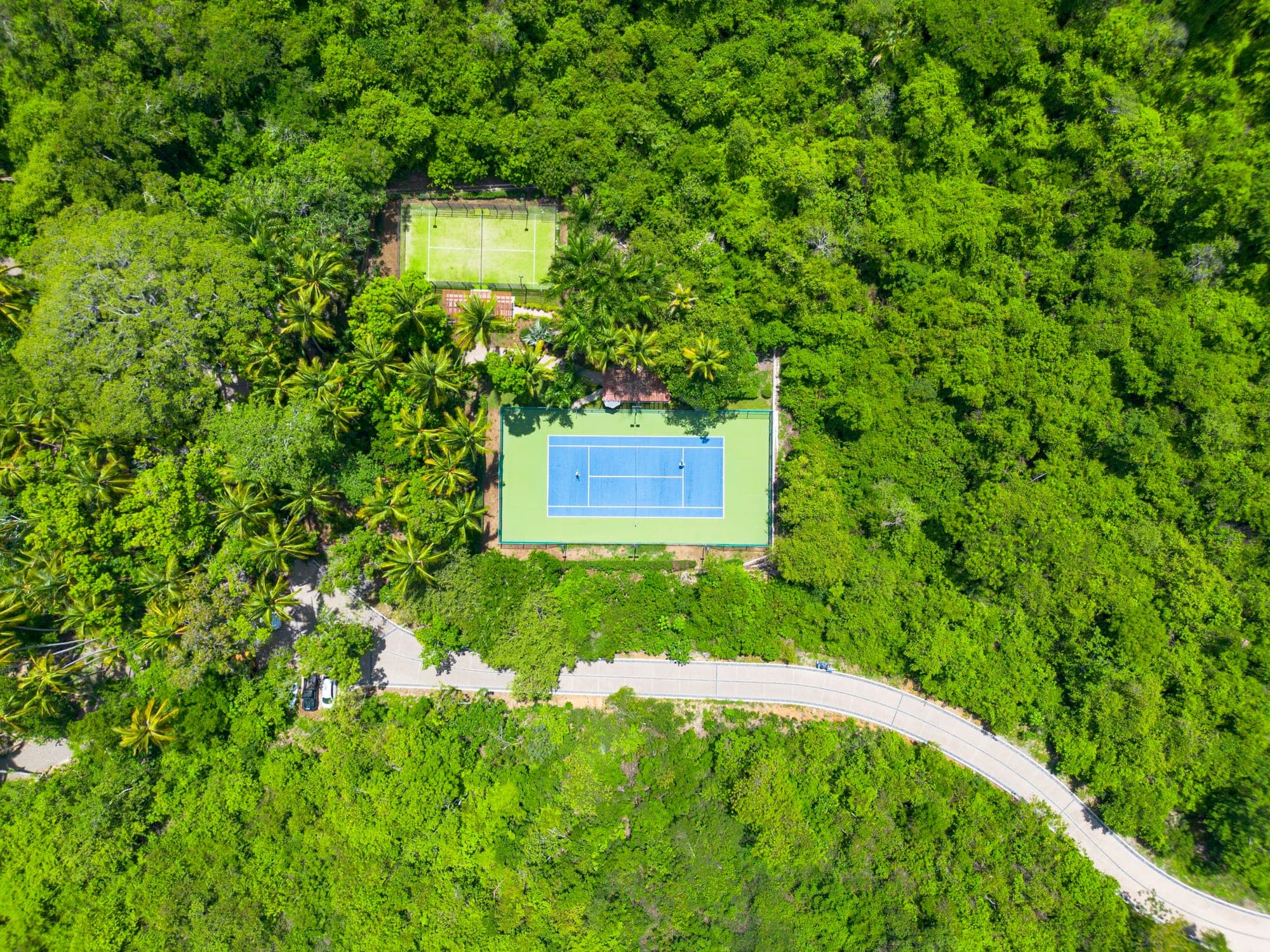 La ladera arbolada, con las canchas · foto del desarrollador